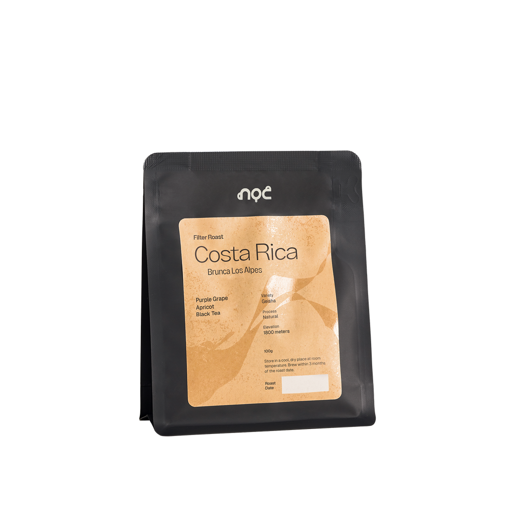 Costa Rica Brunca Los Alpes | Filter 100g